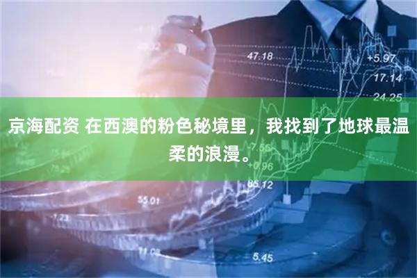 京海配资 在西澳的粉色秘境里，我找到了地球最温柔的浪漫。