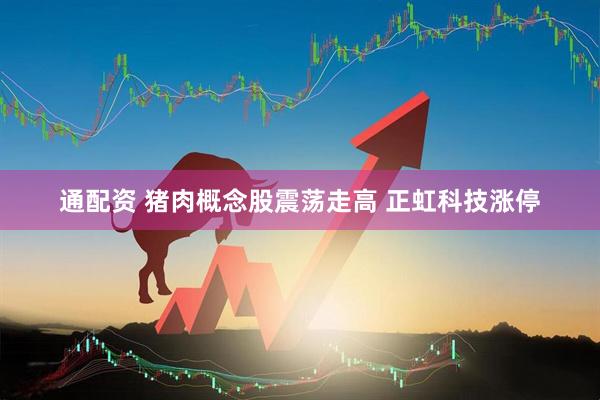 通配资 猪肉概念股震荡走高 正虹科技涨停