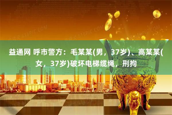 益通网 呼市警方：毛某某(男，37岁)、高某某(女，37岁)破坏电梯缆绳，刑拘