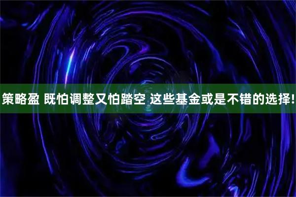 策略盈 既怕调整又怕踏空 这些基金或是不错的选择!